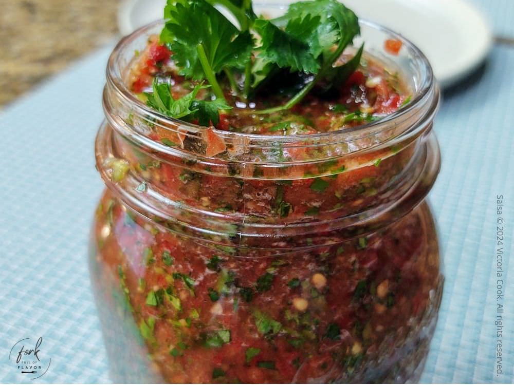 Fresh homemade salsa topped with a sprig of cilantro