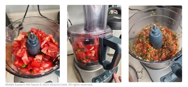 Making middle eastern hot sauce in a food processor